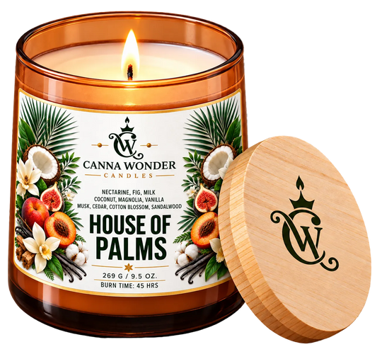 House of Palms